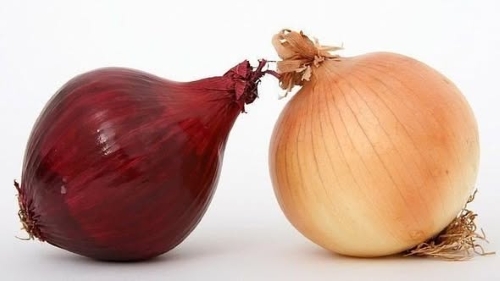 Easiest Way to Chop an Onion